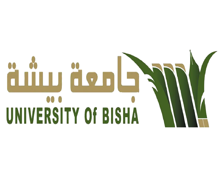جامعة بيشة 